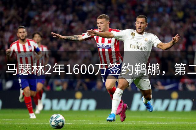 马瑟林2年1600万签约鹈鹕，第二年球员选项成关键变数